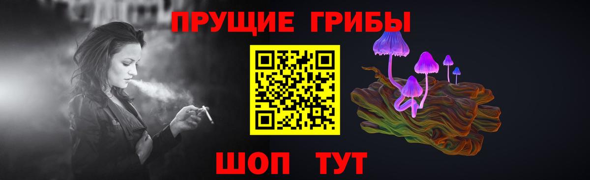 Саратов  Галлюциногенные грибы Psilocybine cubensis  Вход с VPN  Псилоцибиновые грибы прущие грибы 