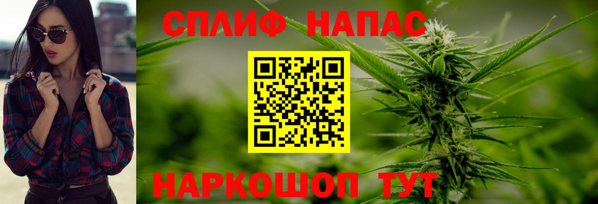 Бошки марихуана ГИДРОПОН  Конопля OG Kush  Каннабис конопля  Марихуана планчик  Саратов  Вход с VPN 